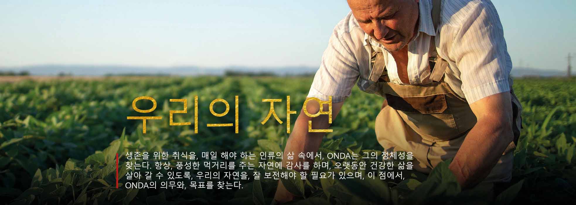 IMG_TOPO_COREANO_01_ver2