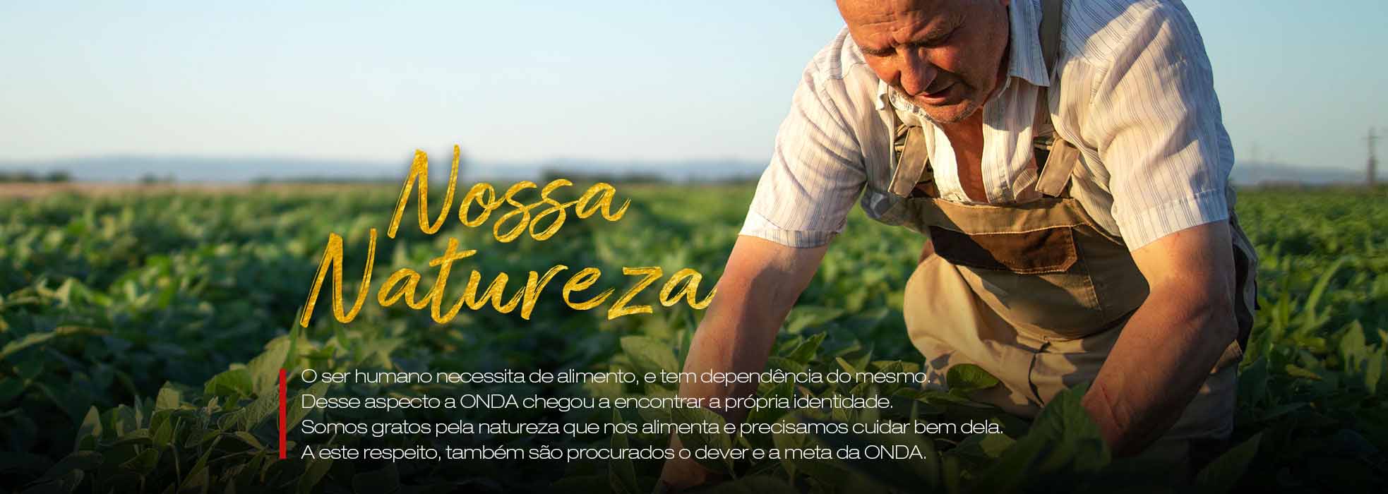 IMG_TOPO_PORTUGUES_01